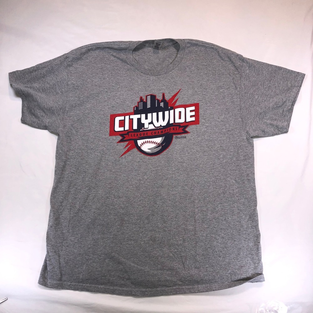 Gildan DryBlend Citywide League Champions Baseball T-Shirt Mens XL Gray Graphic